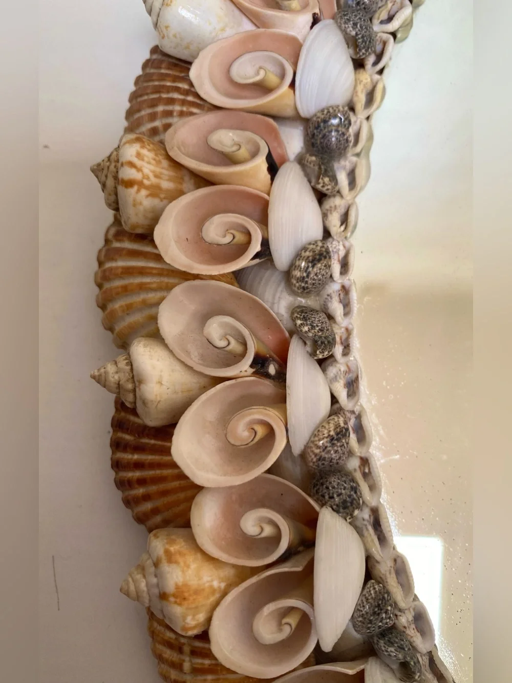 Vtg. Vintage Coquillage Seashell Oval Mirror Natural Shell Pastel Palette